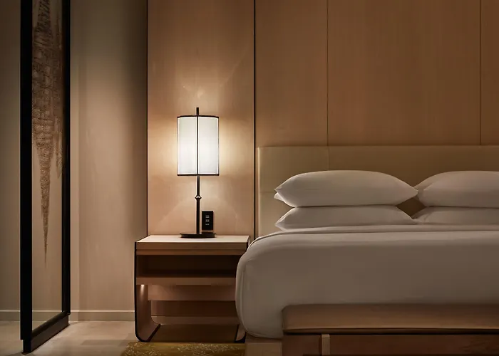 Hotel Park Hyatt 5*